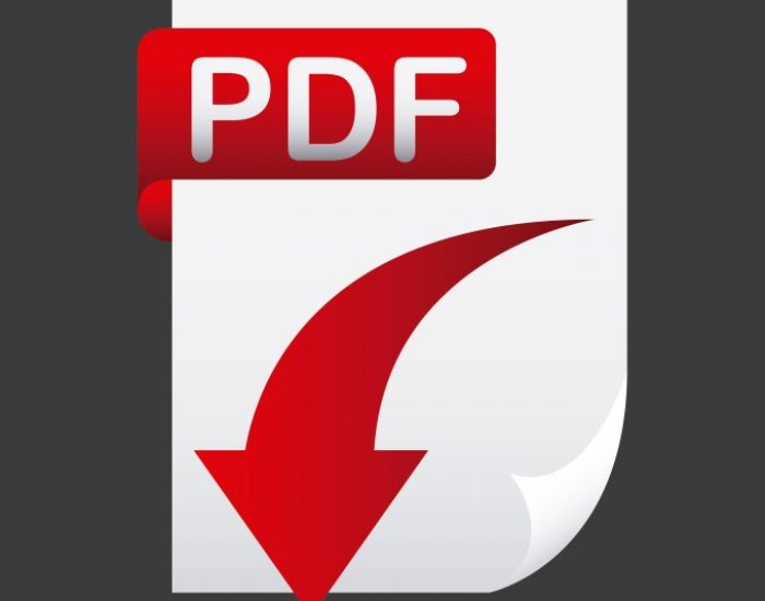 PDF File Conversion Services India